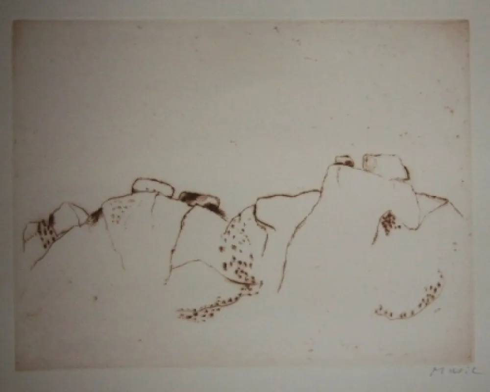 Eau-Forte Et Aquatinte Music - Jardins