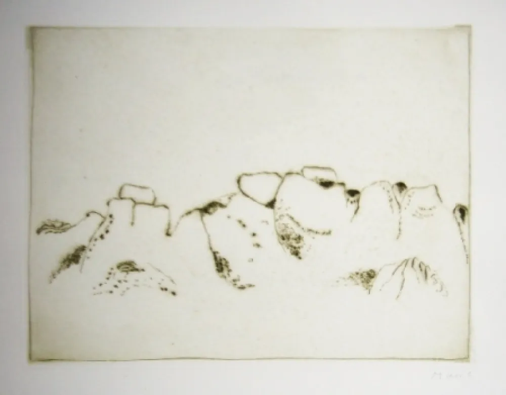 Eau-Forte Et Aquatinte Music - Jardins