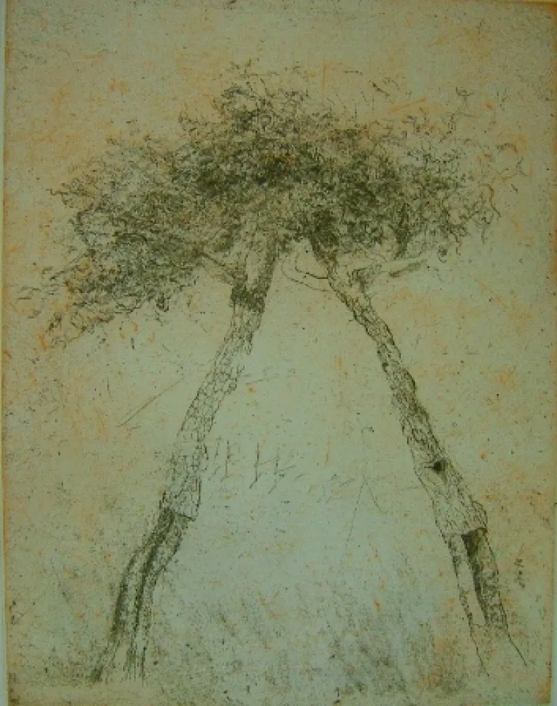 Aquatinte Music - Motif vegetal