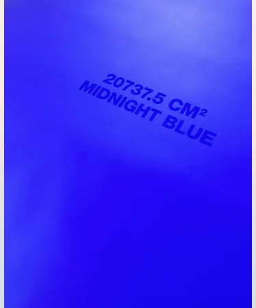 Sérigraphie Nannucci - 20737,5 cm2 midnight blue