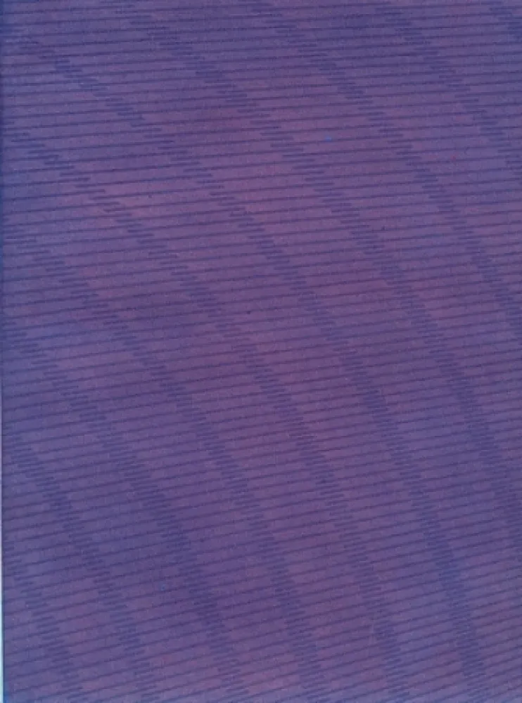 Livre Illustré Napoleone - Rimanenze