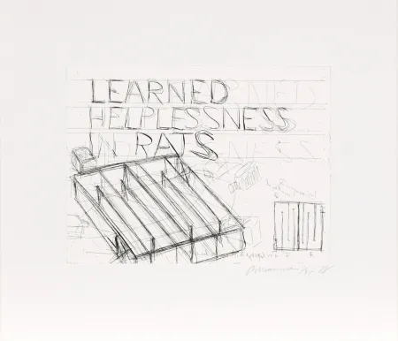 Eau-Forte Nauman - Learned Helplessness from Rats