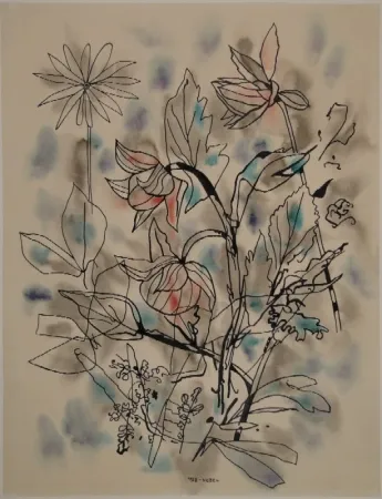 Aucune Technique Nebel - Blumen