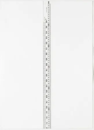 Lithographie Nicolai - Diptych S/T