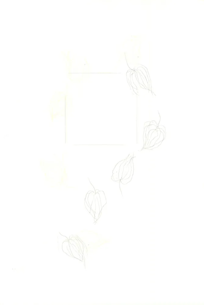 Gravure Nishikawa - Physalis