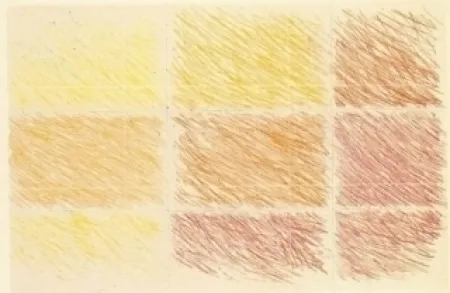 Eau-Forte Et Aquatinte Noland - Marron