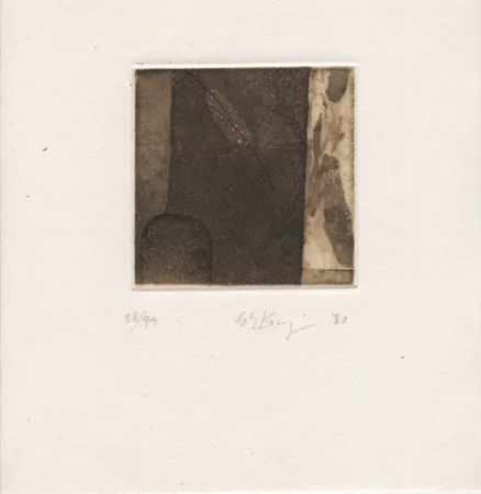 Livre Illustré Ochiai - Haiku