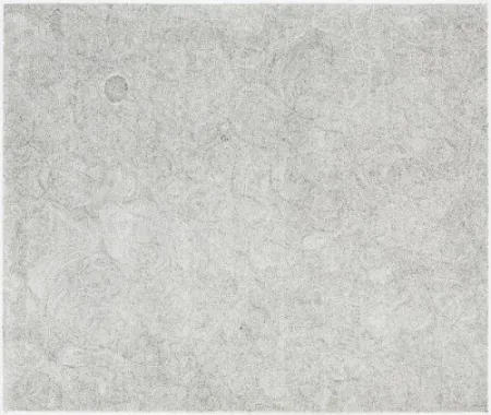 Gravure Ofili - Untitled