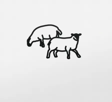 Aucune Technique Opie - Sheep 2, from Nature 1 Series