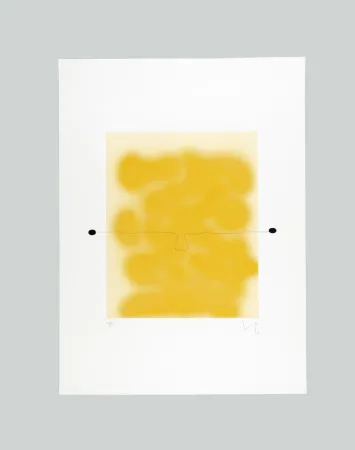Eau-Forte Et Aquatinte Pasmore - Sunrise
