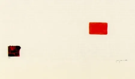 Lithographie Perejaume - El bosc a casa-3