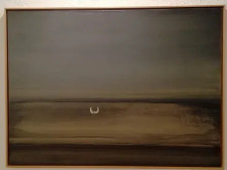 Aucune Technique Perejaume - Ludwigsee