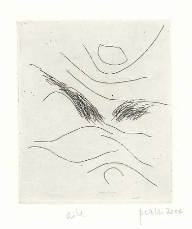 Livre Illustré Perilli - Dal diario di Max