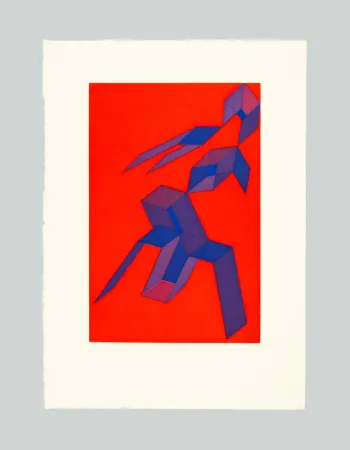 Eau-Forte Et Aquatinte Perilli - Rodra