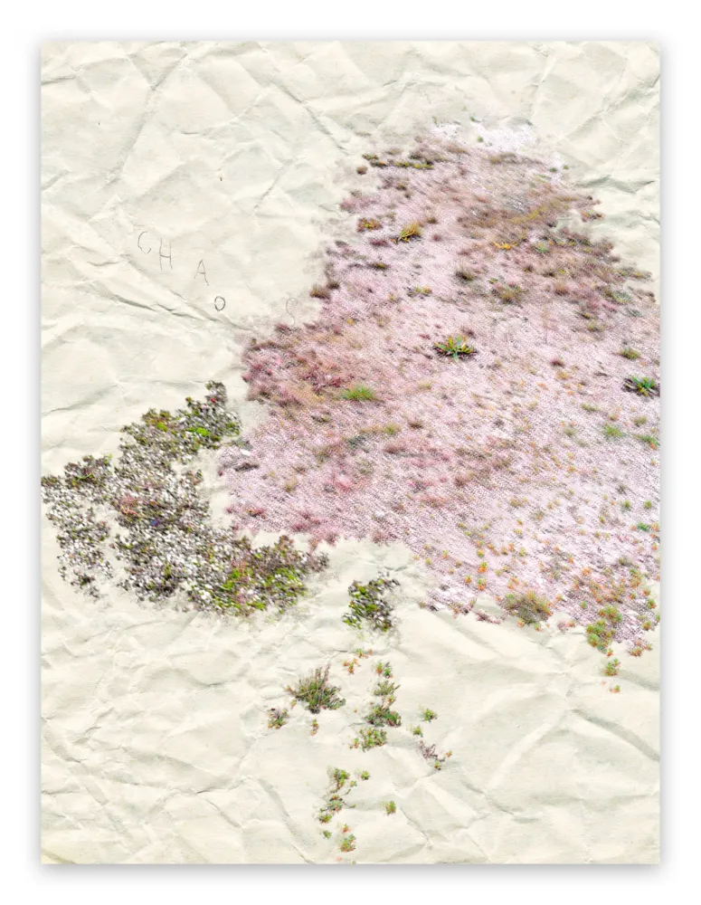 Photographie Pezzot - I. Anthropological Purity