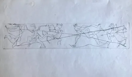 Pointe-Sèche Picasso - La maigre