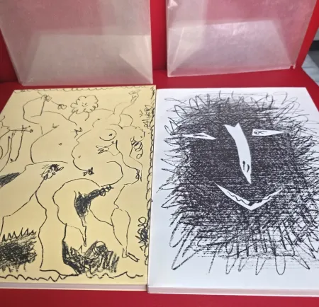 Livre Illustré Picasso - Mourlot Litographe III & IV Mint