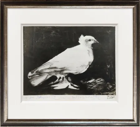Photographie Picasso - The Dove of Peace