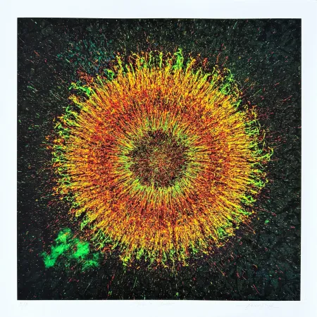 Estampe Numérique Picz - Phoenix Cluster