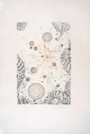 Gravure Pierron - Mille voix pour un Echo