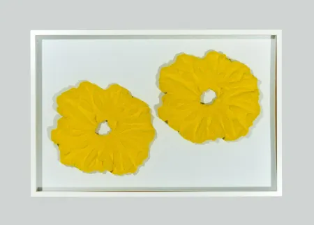 Aucune Technique Pinelli - Pittura G.