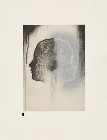 Aucune Technique Plensa - Sin titulo