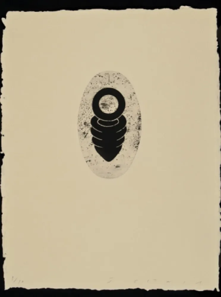 Eau-Forte Et Aquatinte Plensa - Suite Li