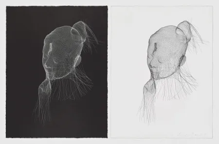 Lithographie Plensa - Wilsis en blanco y negro