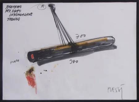 Aucune Technique Plessi - PROGETTO PER VIDEO INSTALLAZIONE TRONCO