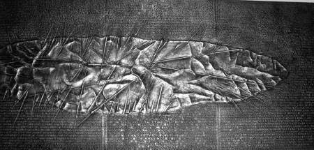 Livre Illustré Pomodoro - Sette frammenti da l'Arte dell'uomo primordiale