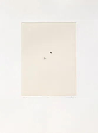 Multiple Porter - Tenista