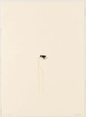 Lithographie Porter - The Offer