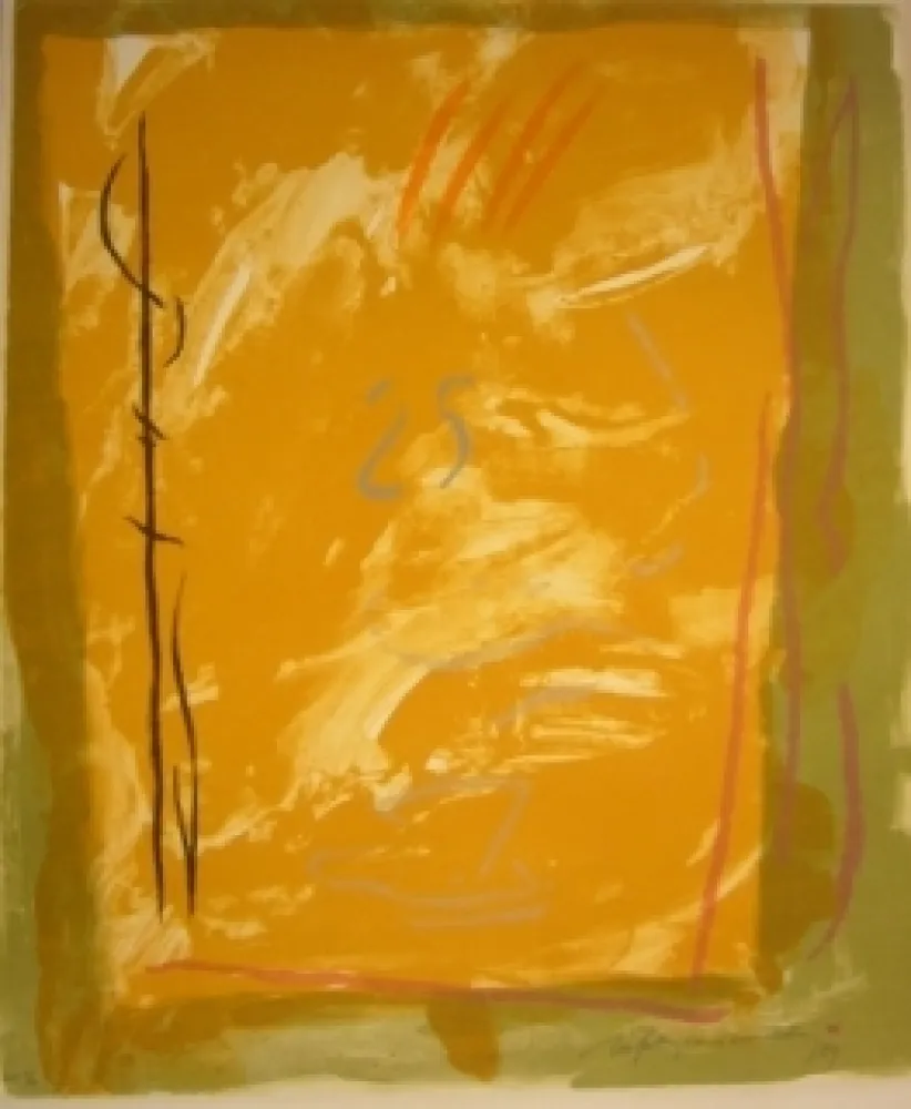 Lithographie Ràfols Casamada - 25