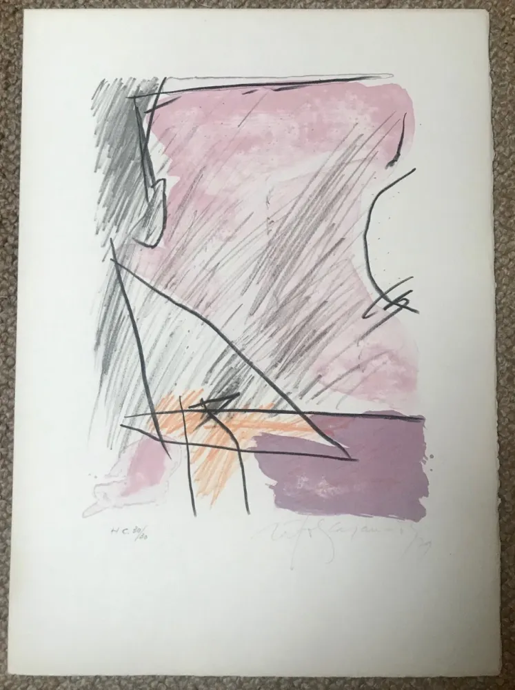 Lithographie Ràfols Casamada - A.L. Polígrafa XV anys