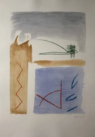 Eau-Forte Et Aquatinte Ràfols Casamada - Camí de primavera 5