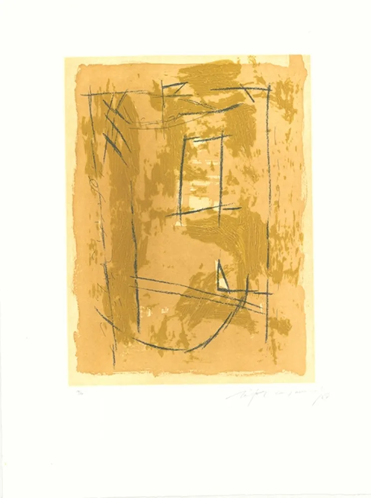 Eau-Forte Et Aquatinte Ràfols Casamada - Circ-4