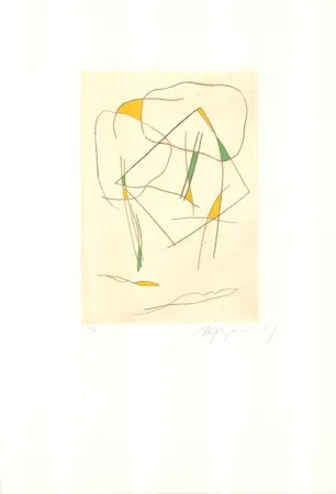 Eau-Forte Et Aquatinte Ràfols Casamada - El bosc-6