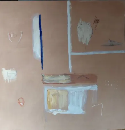 Aucune Technique Ràfols Casamada - Finestra