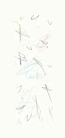 Gravure Ràfols Casamada - Ocells variant 1-2