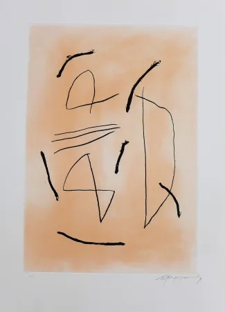 Gravure Ràfols Casamada - Signe i color-4 