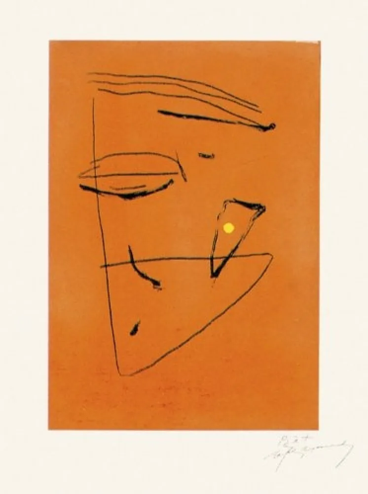 Gravure Ràfols Casamada - Signe i color - 5