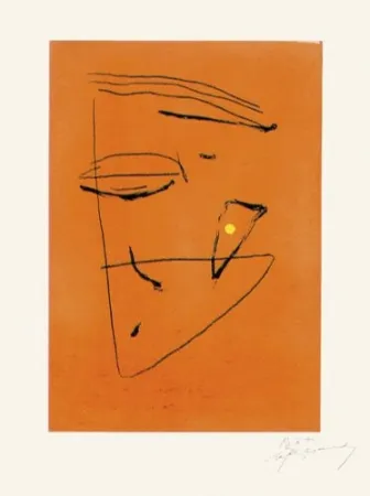 Gravure Ràfols Casamada - Signe i color - 5