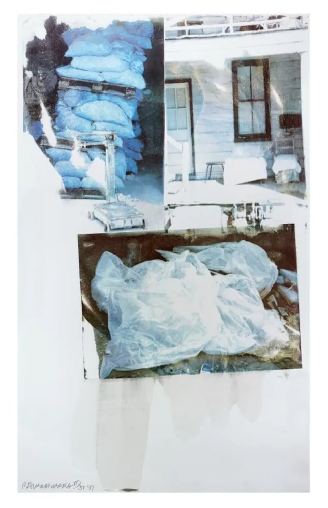 Sérigraphie Rauschenberg - Daydream (Speculations)