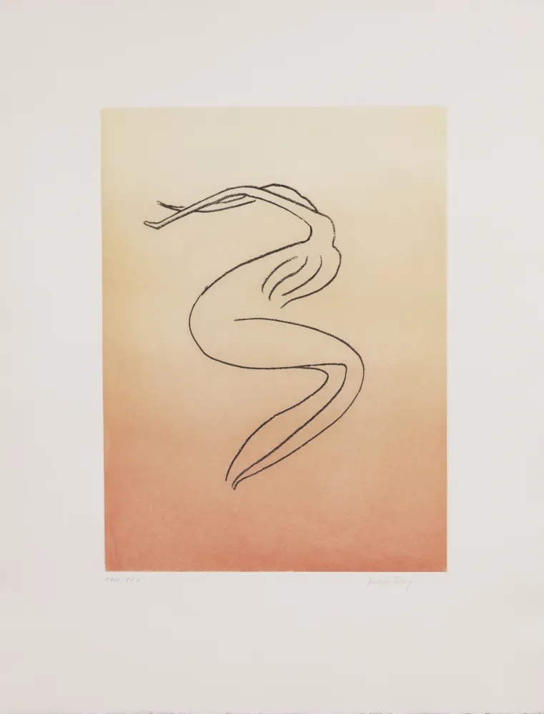 Aquatinte Ray - Man Ray (1890–1976) - Anatoms without Rime or Reason for Every Season - Aquatint and soft ground on paper - 1970