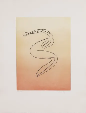 Aquatinte Ray - Man Ray (1890–1976) - Anatoms without Rime or Reason for Every Season - Aquatint and soft ground on paper - 1970