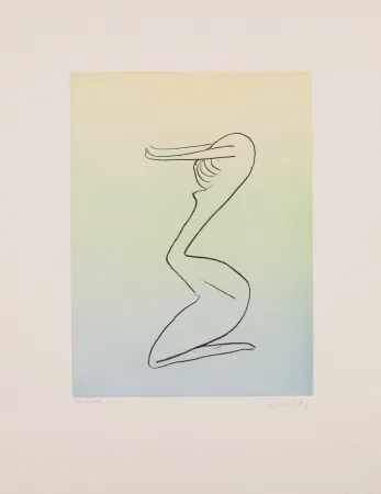 Aquatinte Ray - Man Ray (1890–1976) - Anatoms without Rime or Reason for Every Season - Aquatint and soft ground on paper - 1970