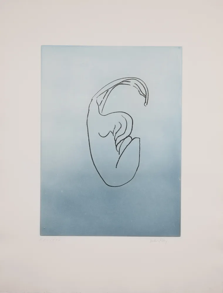 Aquatinte Ray - Man Ray (1890–1976) - Anatoms without Rime or Reason for Every Season - Aquatint and soft ground on paper - 1970