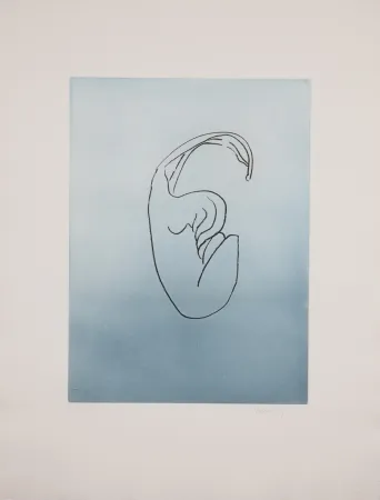 Aquatinte Ray - Man Ray (1890–1976) - Anatoms without Rime or Reason for Every Season - Aquatint and soft ground on paper - 1970
