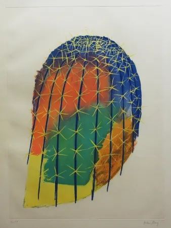 Eau-Forte Et Aquatinte Ray - Transfiguration d'un cactus