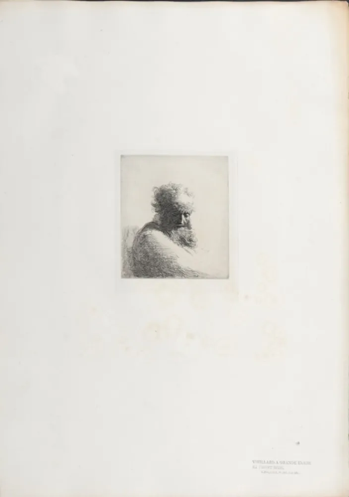 Héliogravure Rembrandt - Veillard à grande barbe et front ridé